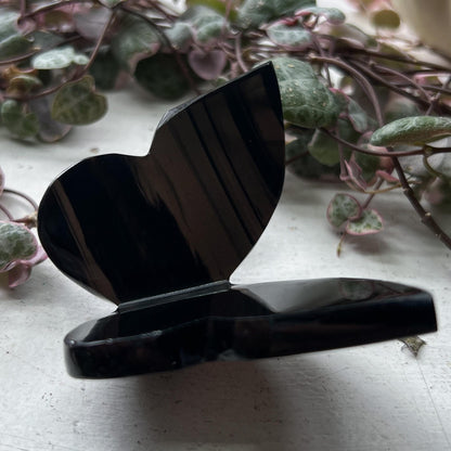 Lace Obsidian 3D Butterfly