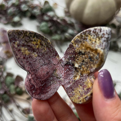 Unicorn Jasper 3D Butterfly