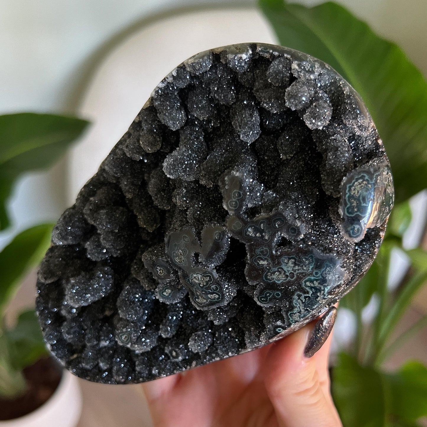 Black Galaxy Amethyst Geode