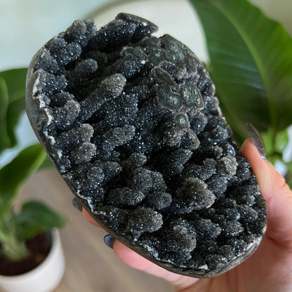 Black Galaxy Amethyst Geode