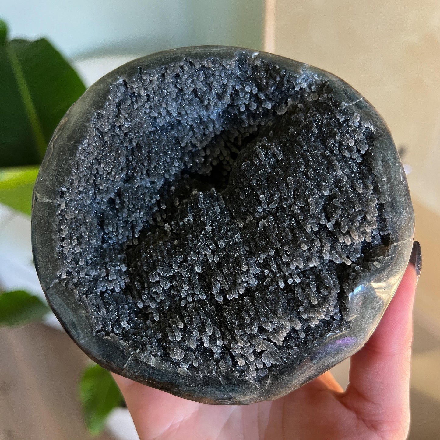 Black Galaxy Amethyst Geode