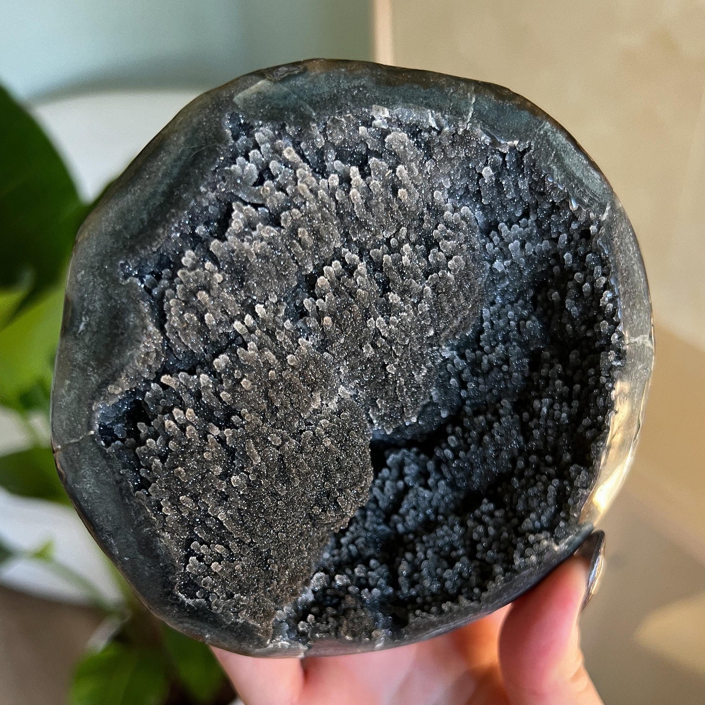 Black Galaxy Amethyst Geode