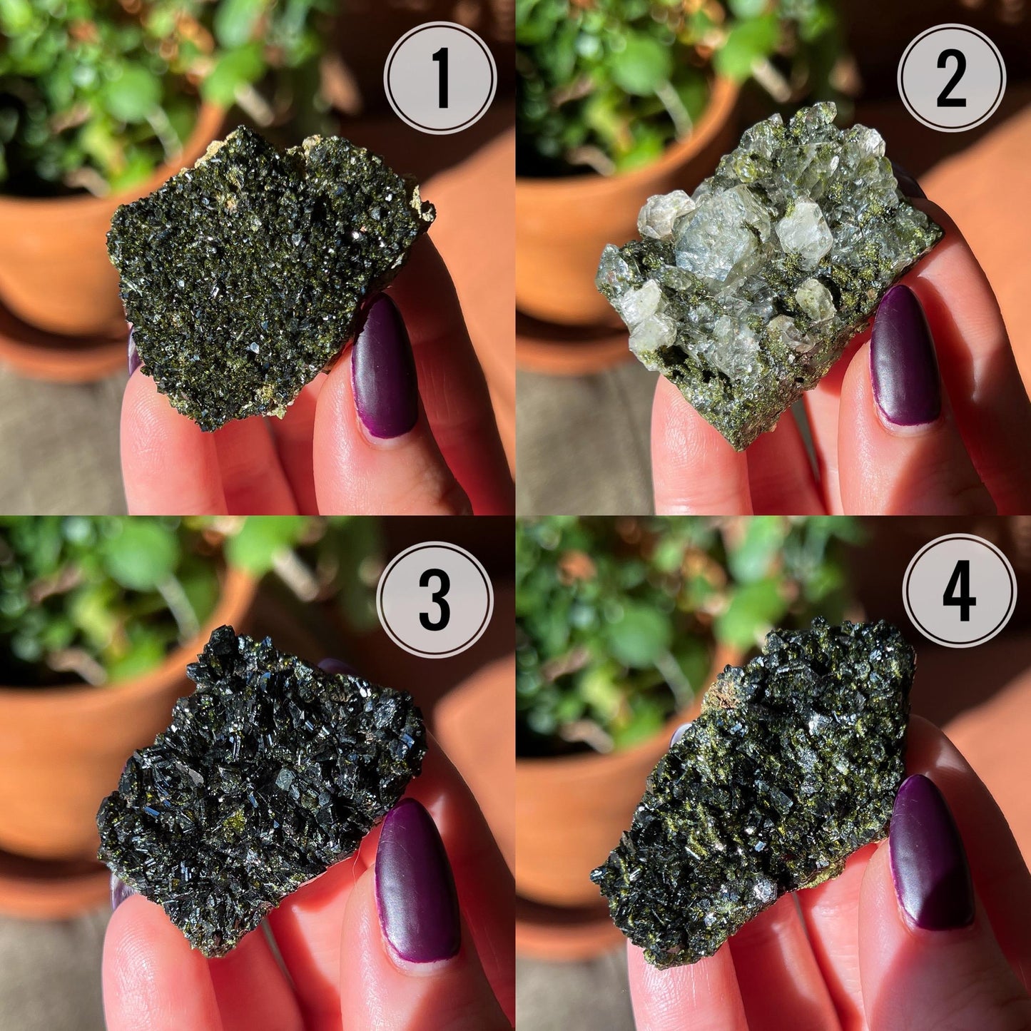 Fairy Forest Epidote Quartz