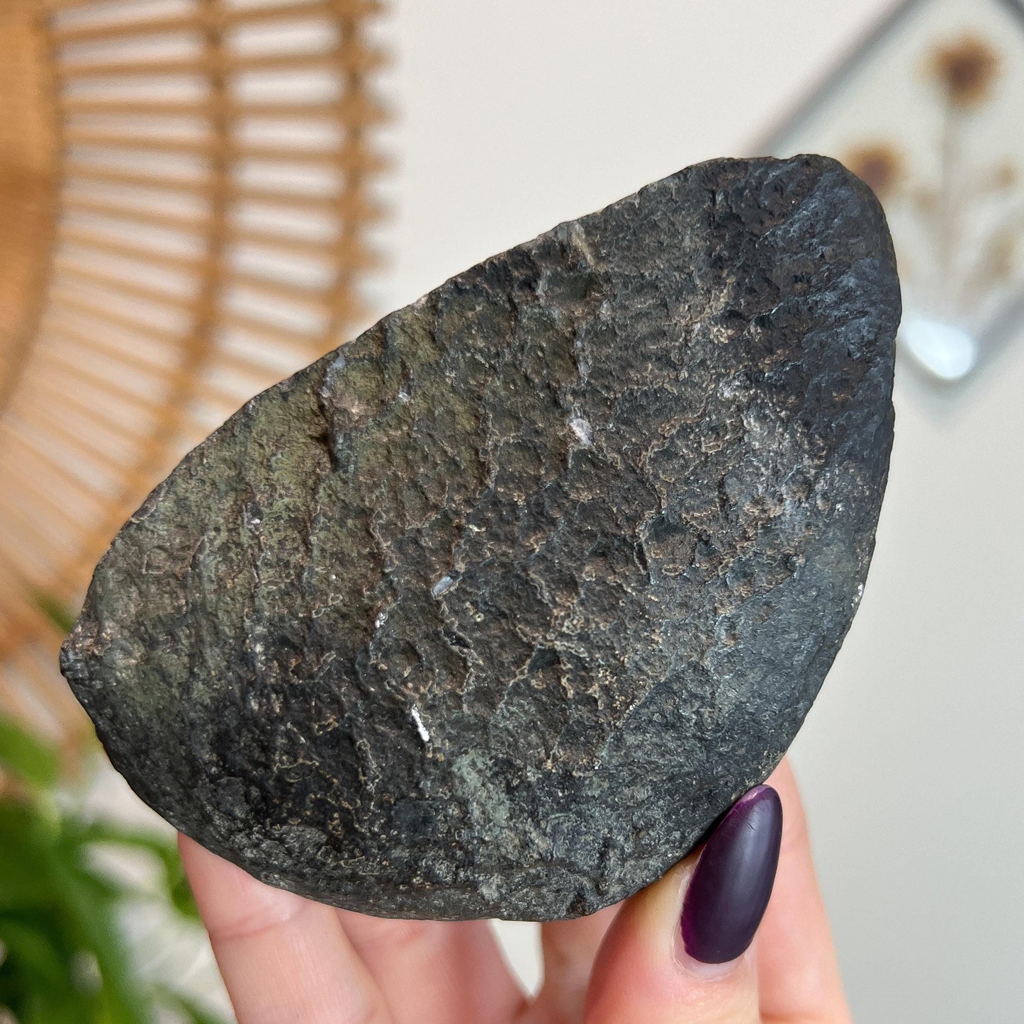 Druzy Agate Cave