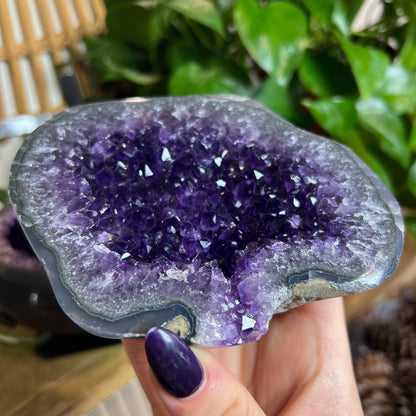 Druzy Amethyst Geode Pair