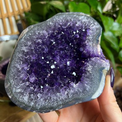 Druzy Amethyst Geode Pair