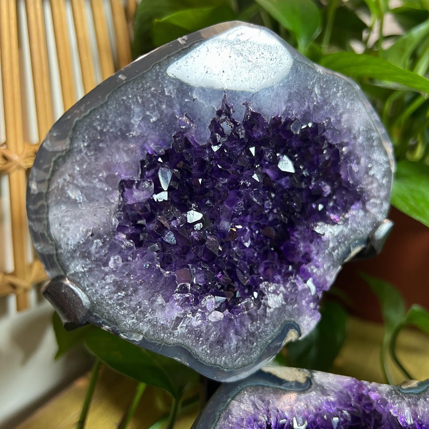 Druzy Amethyst Geode Pair