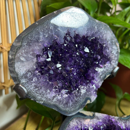 Druzy Amethyst Geode Pair