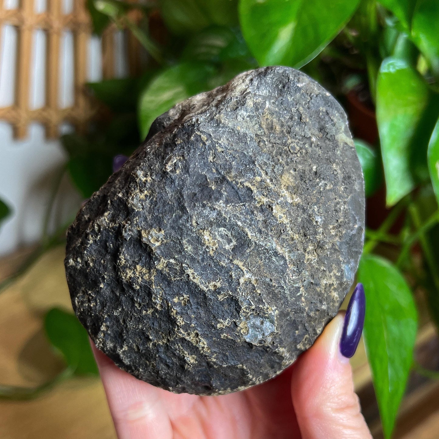 Amethyst Geode Cave