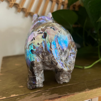 Rainbow Aura Rhino