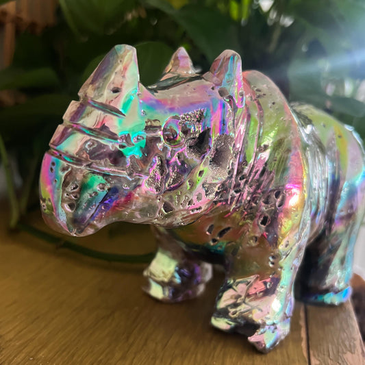 Rainbow Aura Rhino