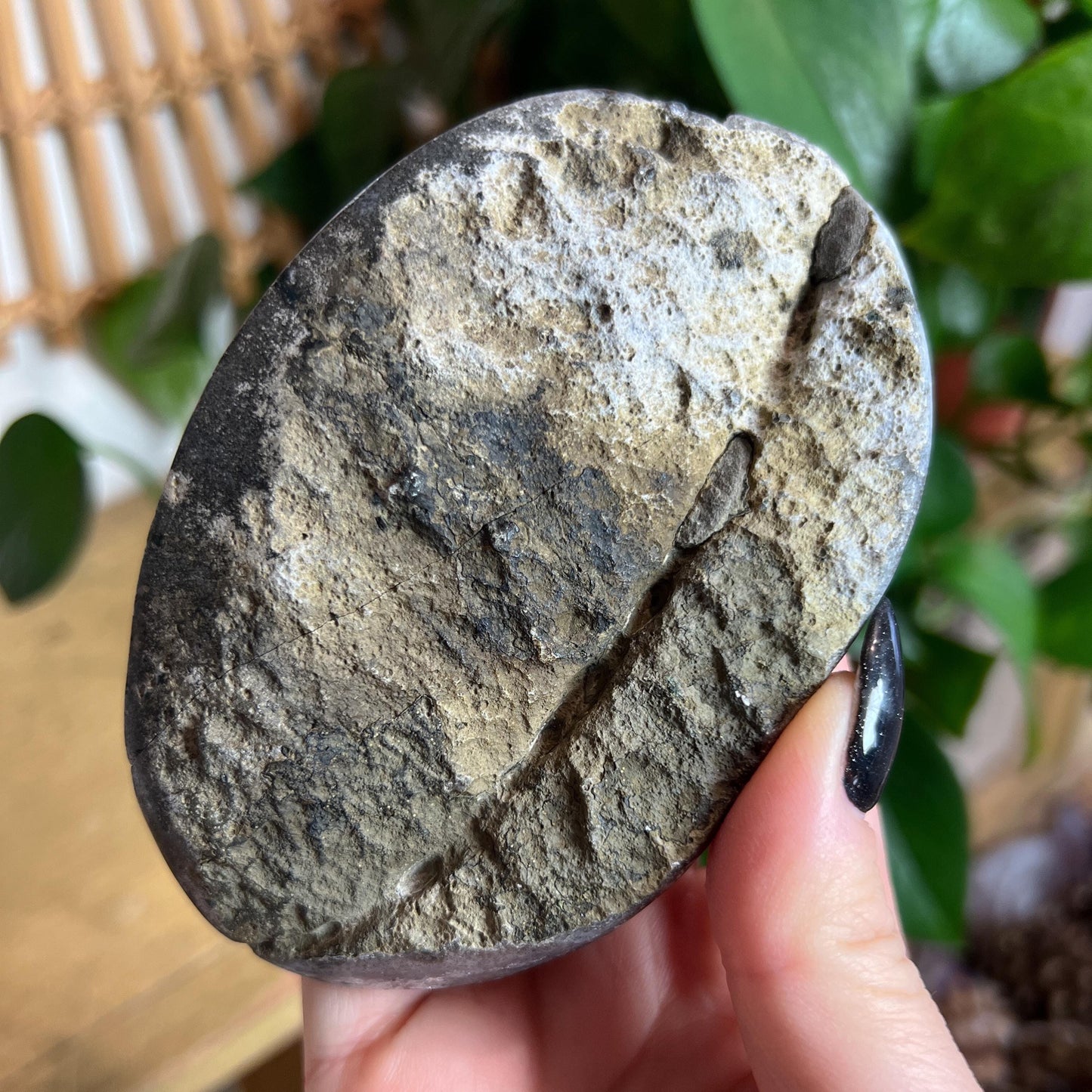 Druzy Amethyst Agate Cave