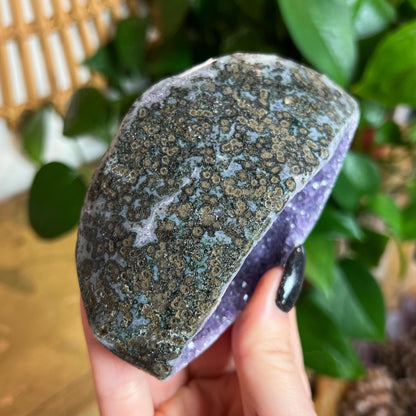 Druzy Amethyst Agate Cave