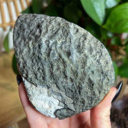 Druzy Amethyst Agate Cave