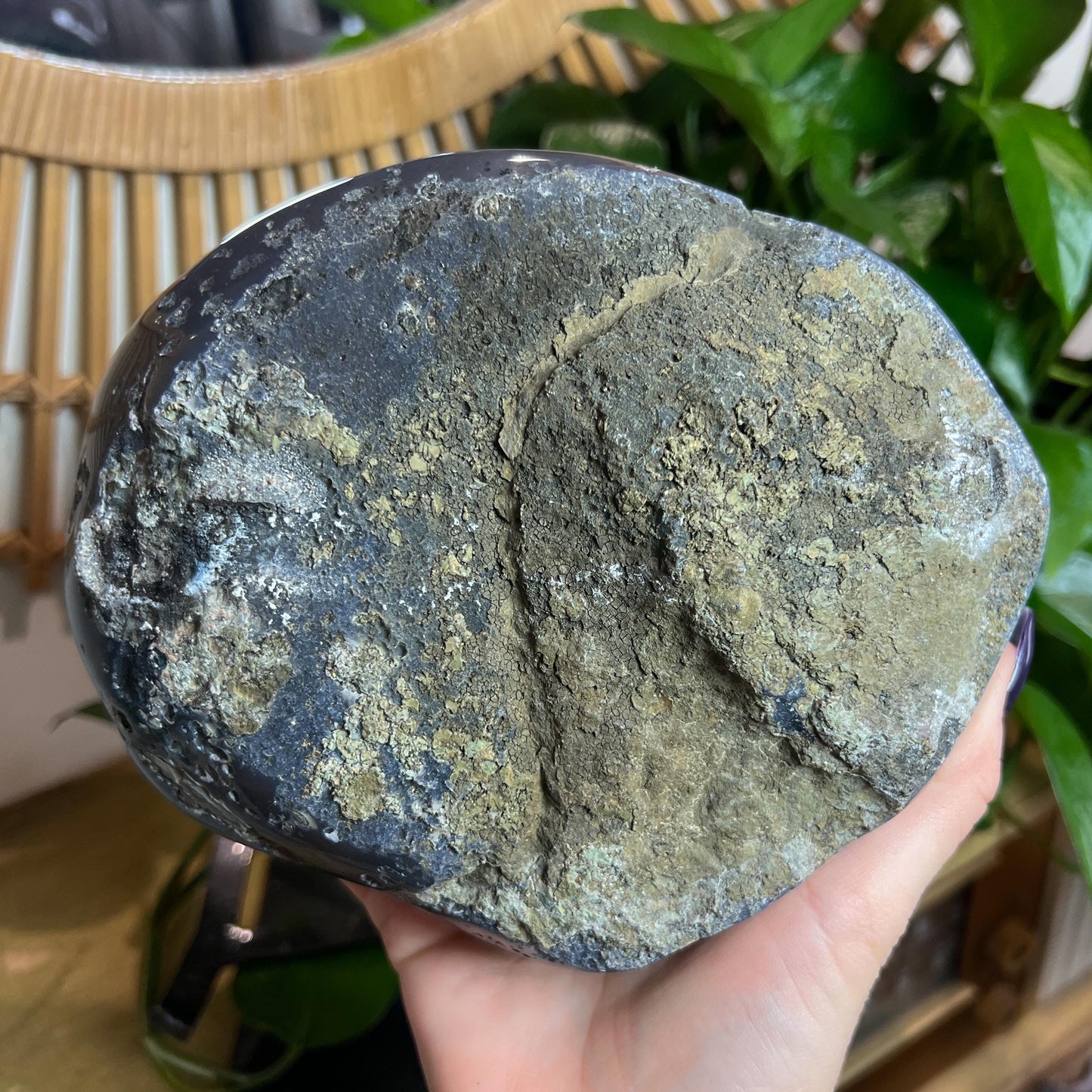 Druzy Amethyst Geode Pair