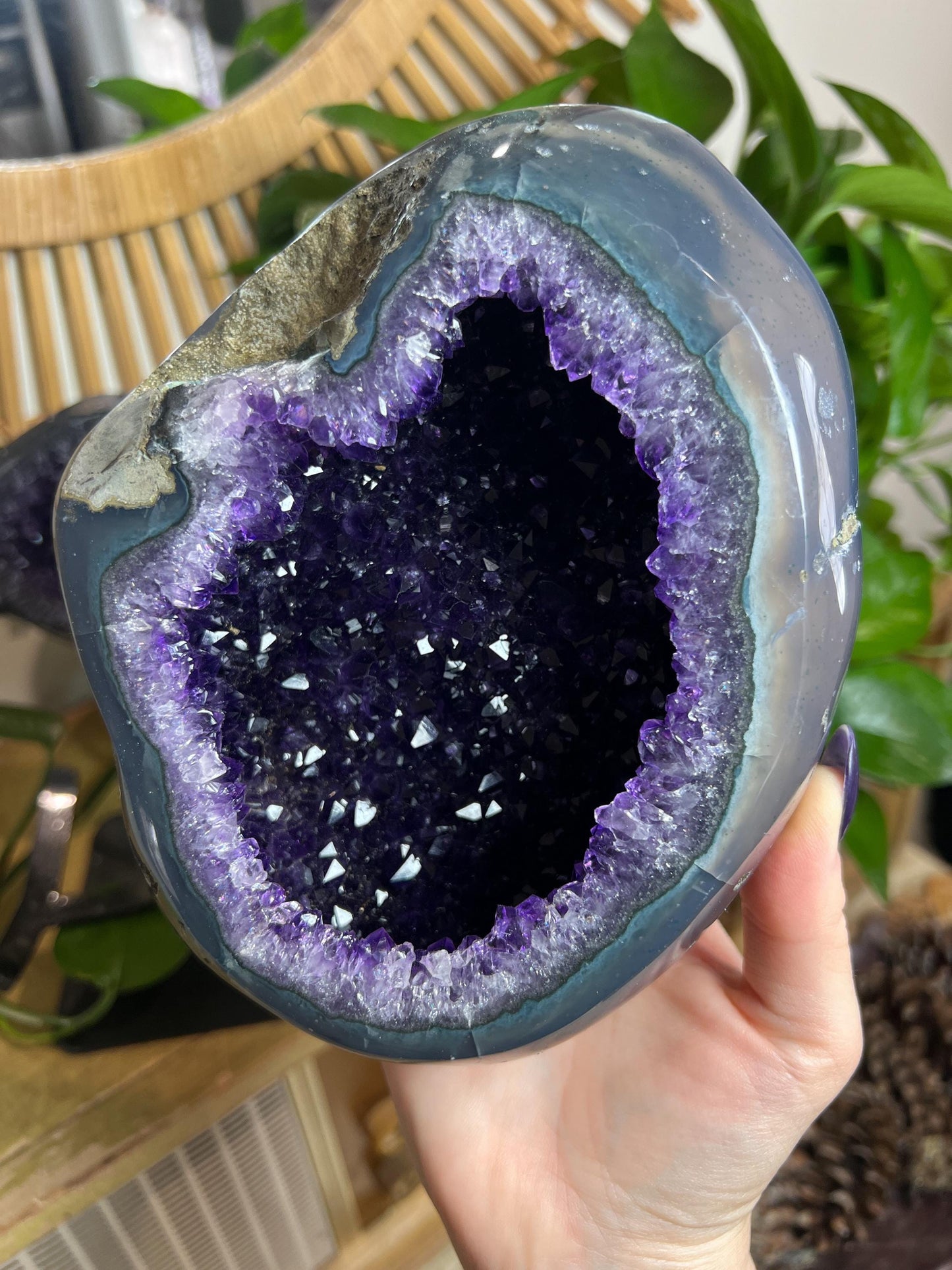 Druzy Amethyst Geode Pair