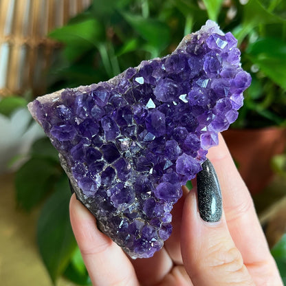 Amethyst Crystal Cluster