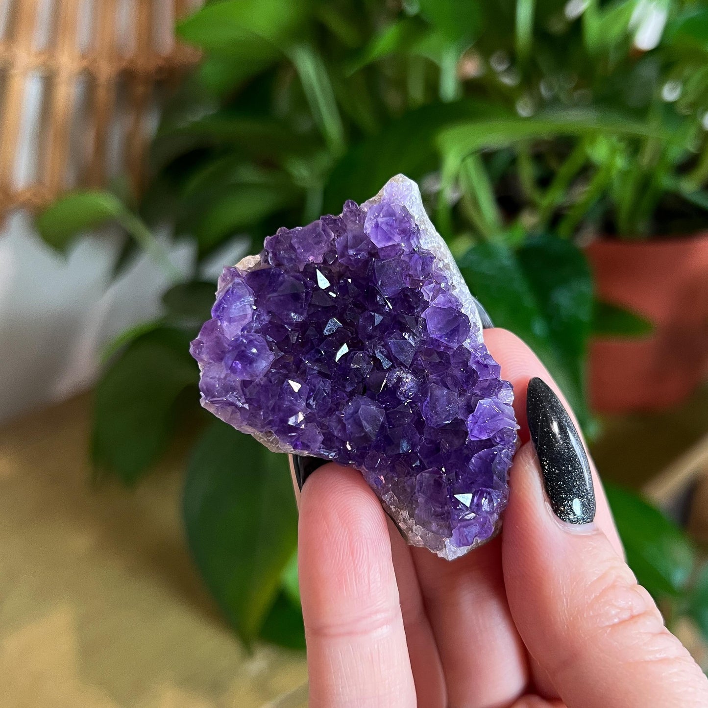 Amethyst Crystal Cluster