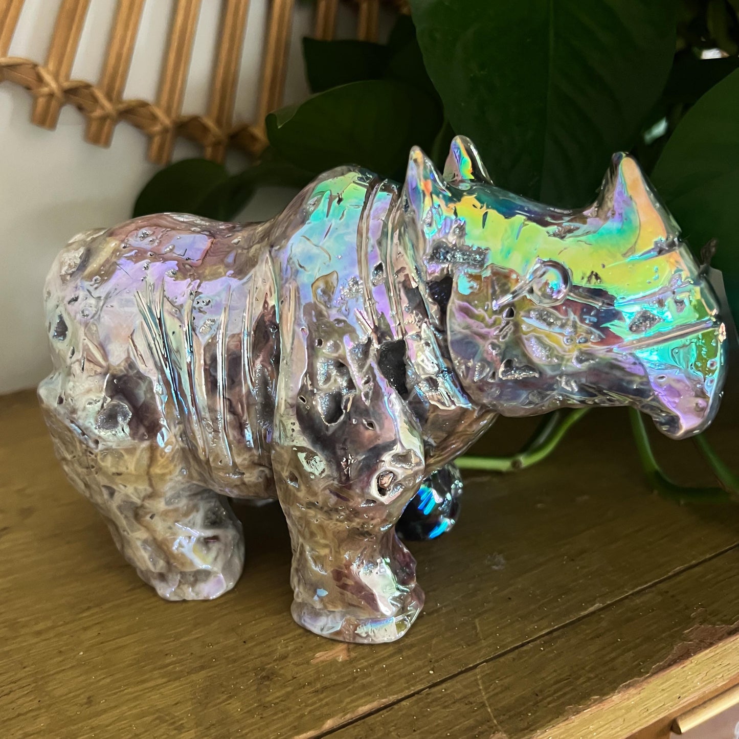 Rainbow Aura Rhino