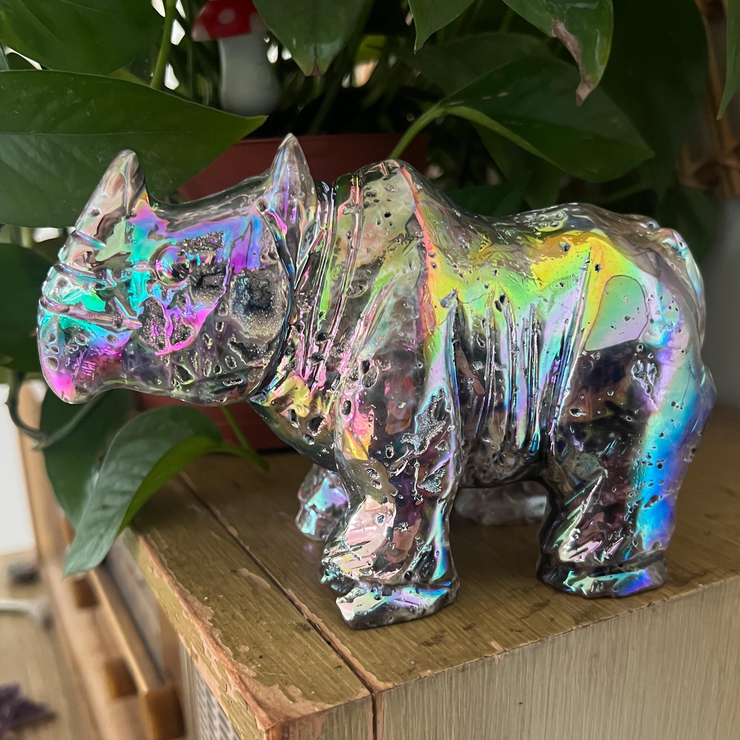 Rainbow Aura Rhino