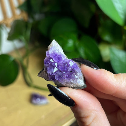 Amethyst Crystal Cluster Set of 4