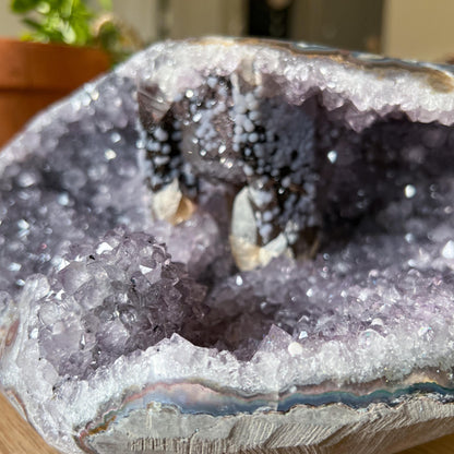 Lavender Amethyst Grape Agate Geode
