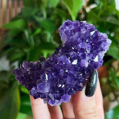 Amethyst Crystal Cluster