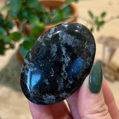 Arfvedsonite Palm Stone