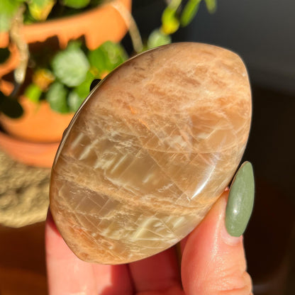 Peach Moonstone Palm Stone, Orange Polished Crystal