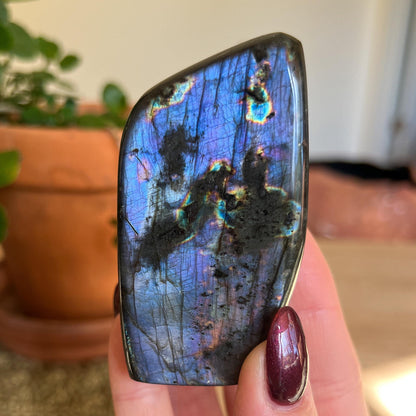 Purple Rainbow Labradorite Freeform