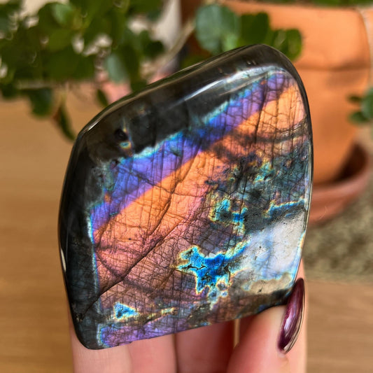 Orange Fire Labradorite Freeform