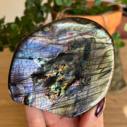 Purple Silver Labradorite Freeform