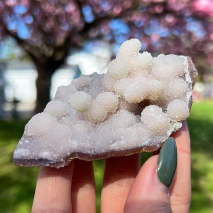 Pink Botryoidal Chalcedony Translucent Specimen