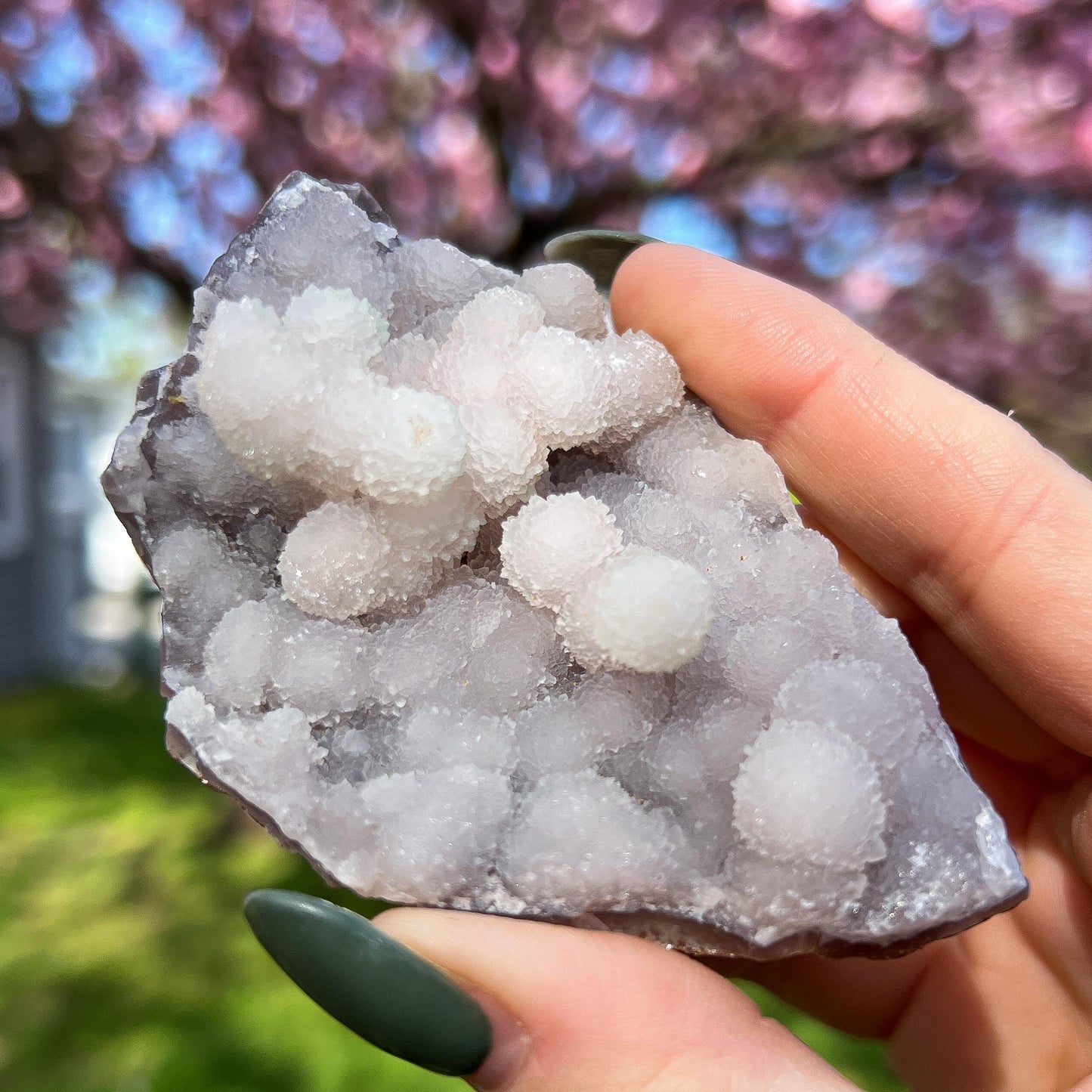 Pink Botryoidal Chalcedony Translucent Specimen