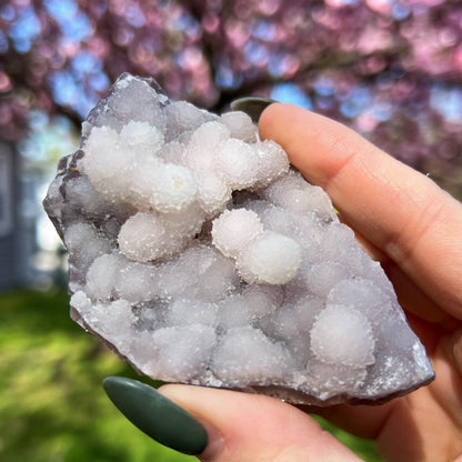 Pink Botryoidal Chalcedony Translucent Specimen