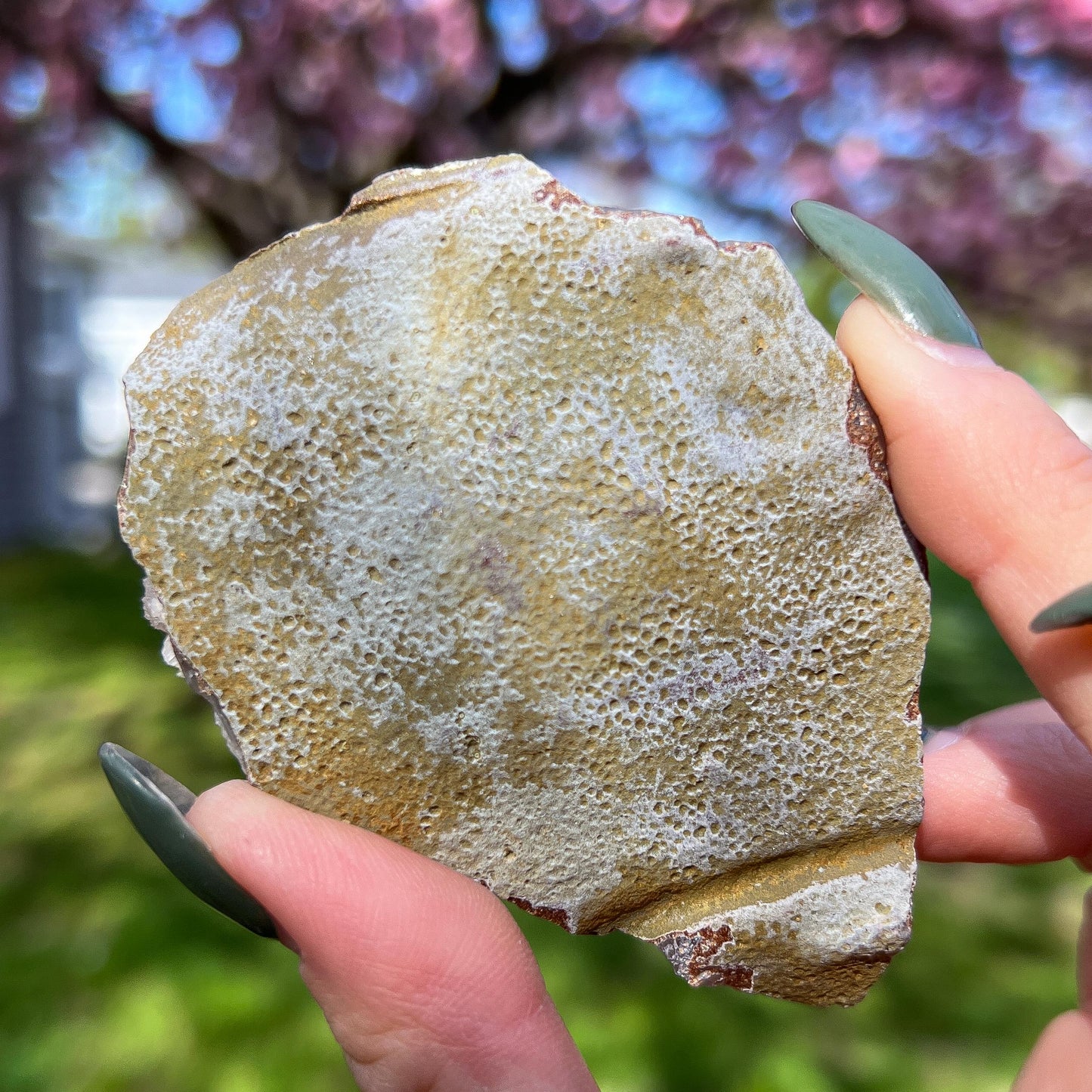 Pink Botryoidal Chalcedony Translucent Specimen