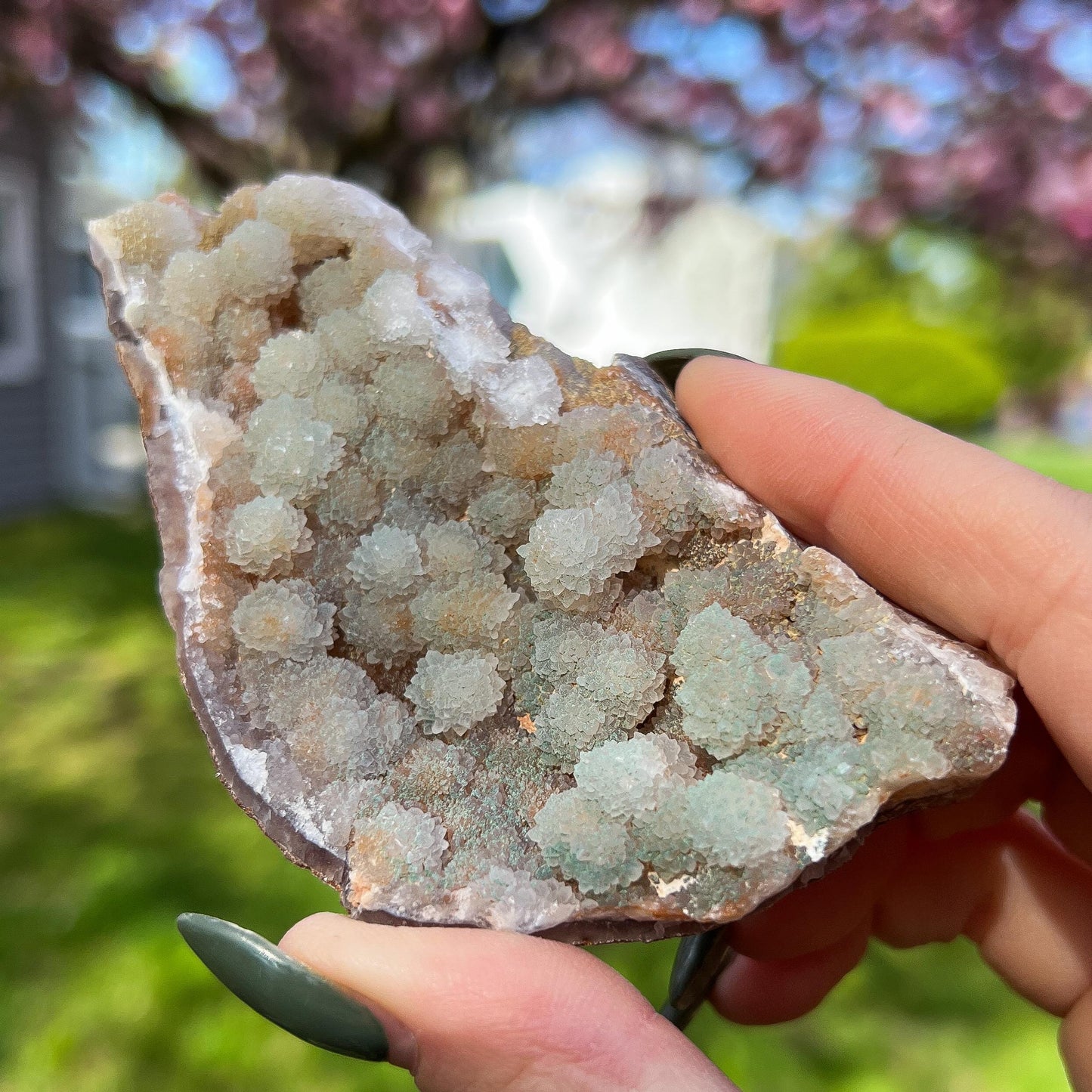 Green Botryoidal Chalcedony Translucent Specimen