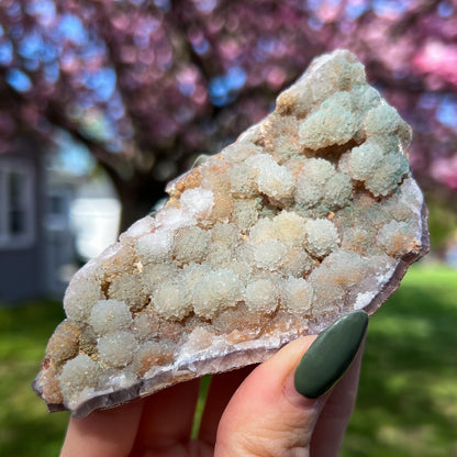 Green Botryoidal Chalcedony Translucent Specimen