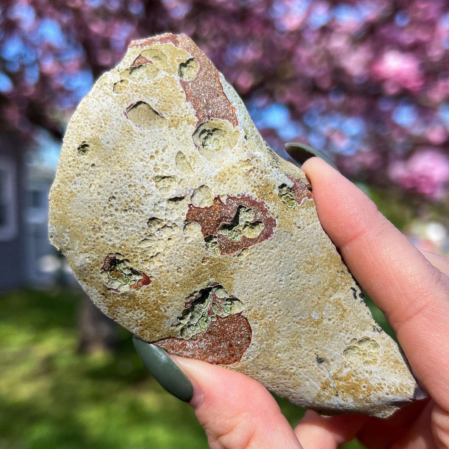 Green Botryoidal Chalcedony Translucent Specimen