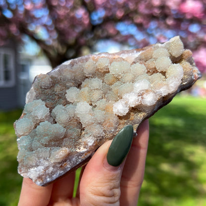 Green Botryoidal Chalcedony Translucent Specimen
