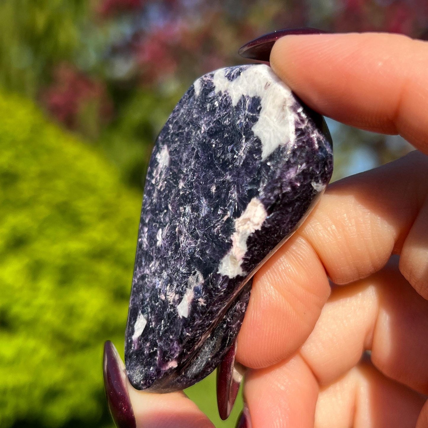 Storm Euphoralite Alien