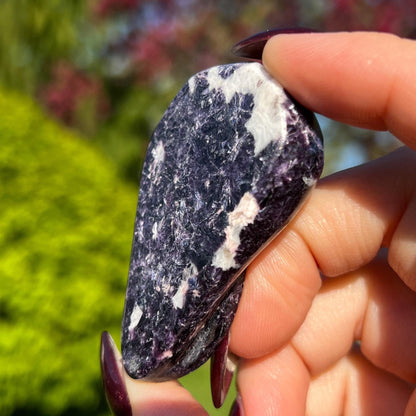 Storm Euphoralite Alien