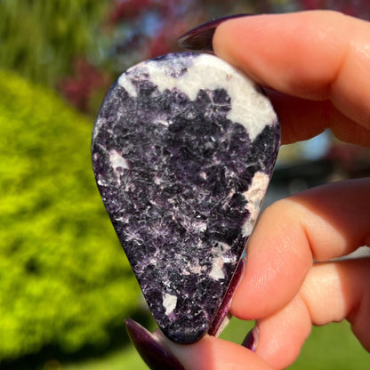 Storm Euphoralite Alien