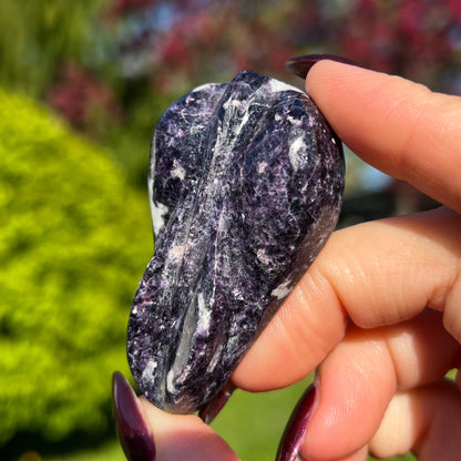 Storm Euphoralite Alien