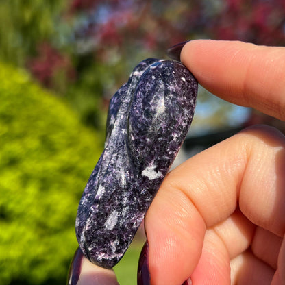 Storm Euphoralite Alien