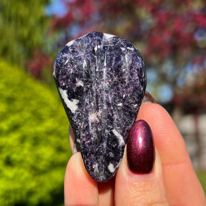 Storm Euphoralite Alien
