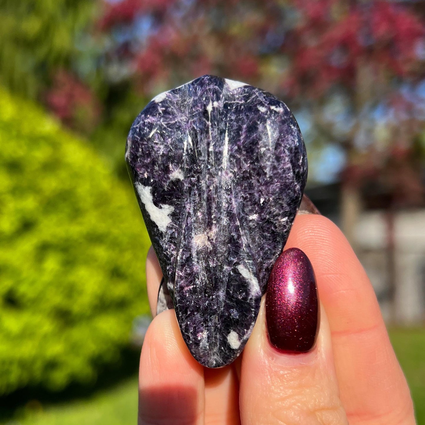 Storm Euphoralite Alien
