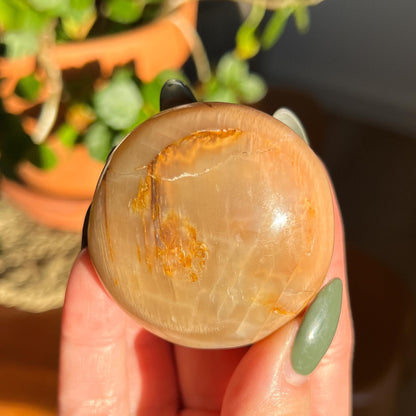 Peach Moonstone Palm Stone, Orange Polished Crystal