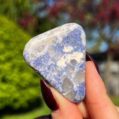 Enchanted Euphoralite Palm Stone