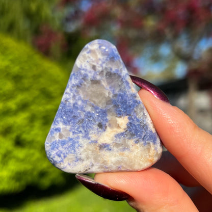 Enchanted Euphoralite Palm Stone